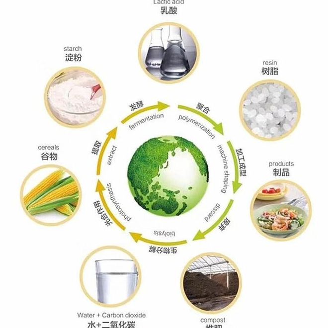 beat365官方最新版聚乳酸纤维-生态与时尚的完美融合(图2)