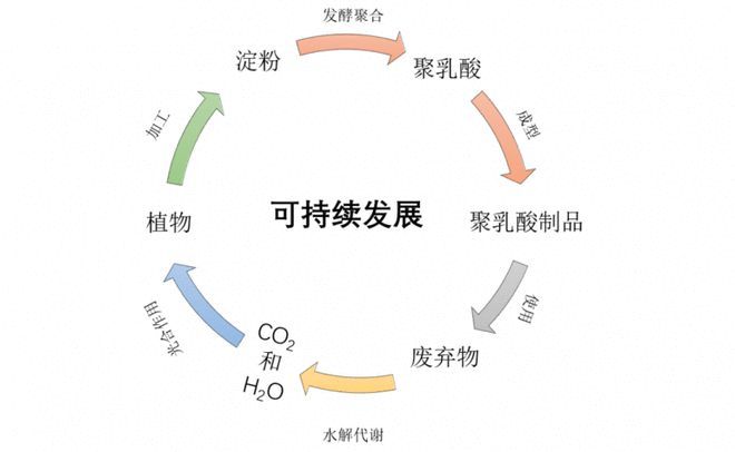 beat365官方最新版聚乳酸纤维-生态与时尚的完美融合(图5)