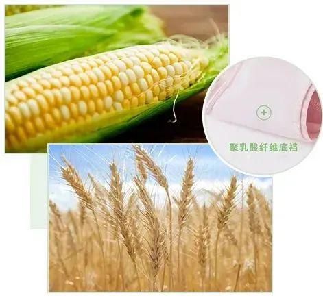 beat365官方最新版聚乳酸纤维-生态与时尚的完美融合(图6)