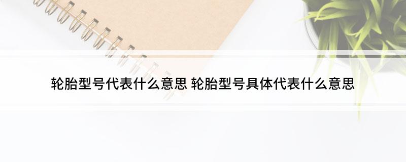 beat365官方最新版轮胎型号代表什么意思(图1)